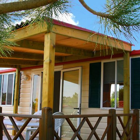 Camp Dole Zivogosce Hotel Podgora Bagian luar foto
