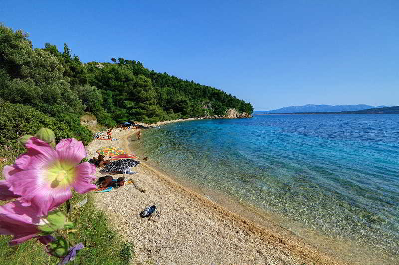 Camp Dole Zivogosce Hotel Podgora Bagian luar foto